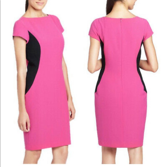 Cynthia Steffe Dresses & Skirts - Cynthia Steffe Lida Contrast Side Panel Dress 8